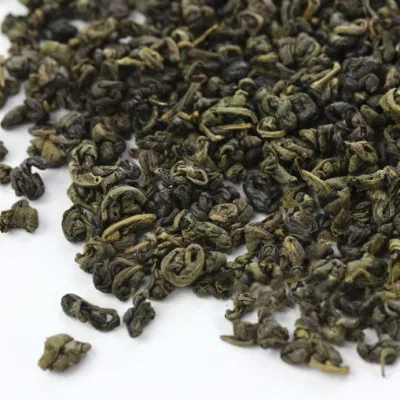 OEM de té verde de pólvora de brotes frescos al por mayor