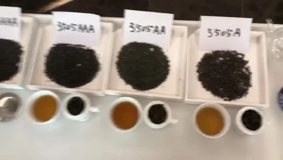 Nueva cosecha de té verde para Uzbekistán y Kazajstán Pólvora 9501, 3505, 3503