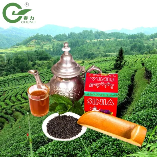 Té chino Té verde 3505 Fábrica de té orgánico de Marruecos con pólvora