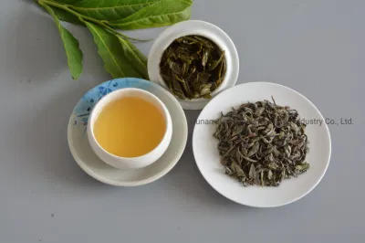 Green Tea Factory Té Orgánico Premium Op 9101