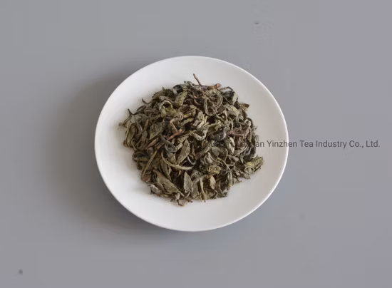 Green Tea Factory Té Orgánico Premium Op 9101