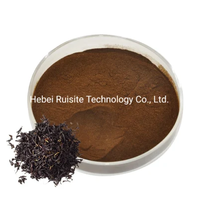 Polvo de extracto de té negro instantáneo orgánico 100% de alta calidad