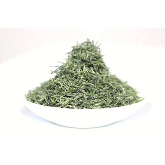 Té verde de China Hojas de té verde Maojian orgánico premium de alta calidad