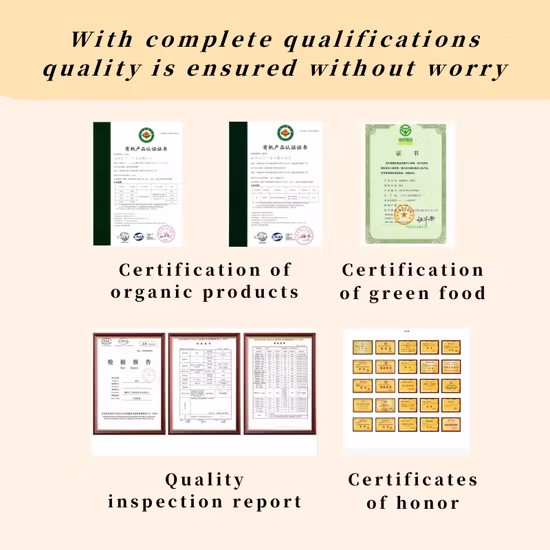 Té verde de China Hojas de té verde Maojian orgánico premium de alta calidad